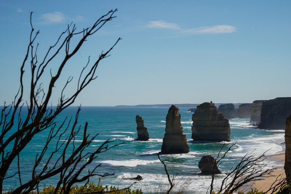 Фотография автора Maria Alekseeva