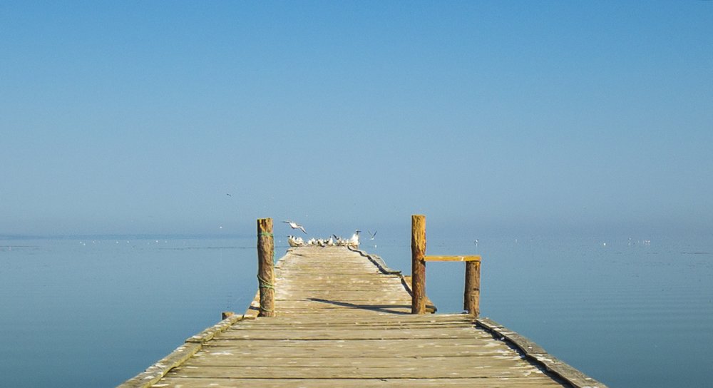 Photograph by Tatiana Kravchuk