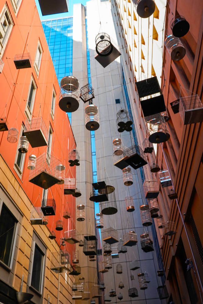 Фотография автора Maria Alekseeva