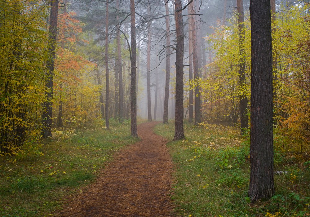 Photograph by Андрей Суздалев