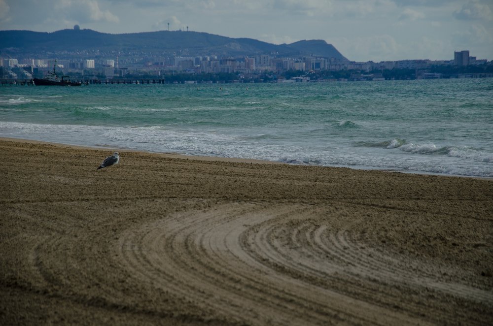 Photograph by Екатерина Николаева