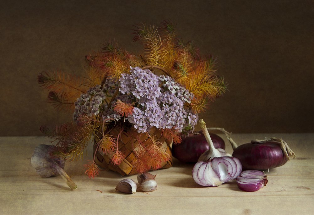 Photograph by Галина Щипакина