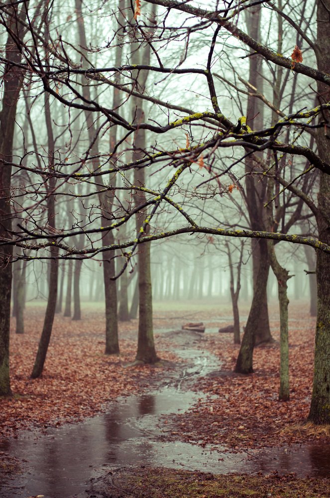 Photograph by Kristina Dubickiene