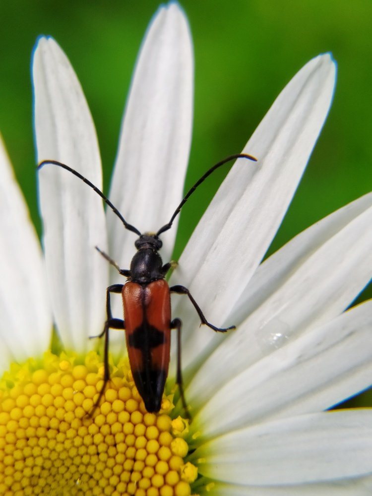 Photograph by Любовь Сухова
