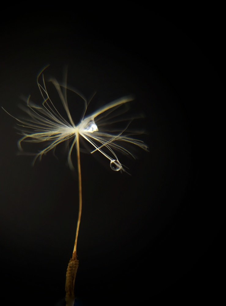 Photograph by Любовь Сухова