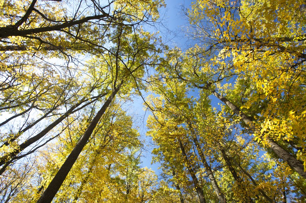 Photograph by Tatiana Kravchuk