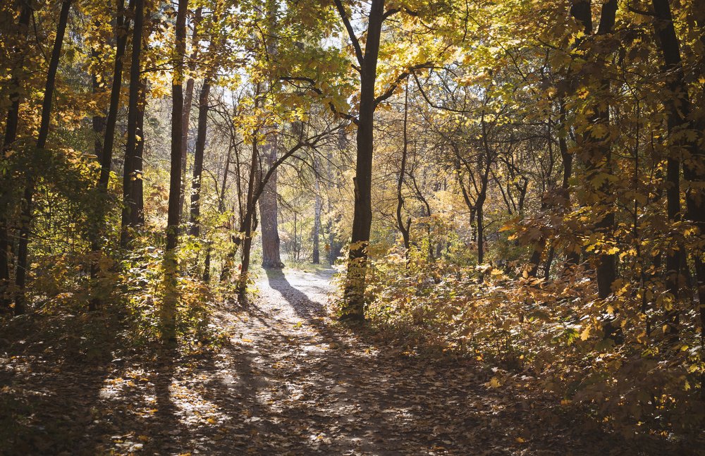 Photograph by Tatiana Kravchuk