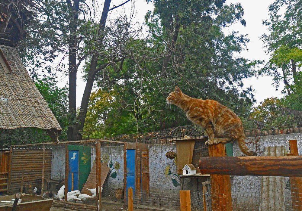 Фотография автора Lizuza