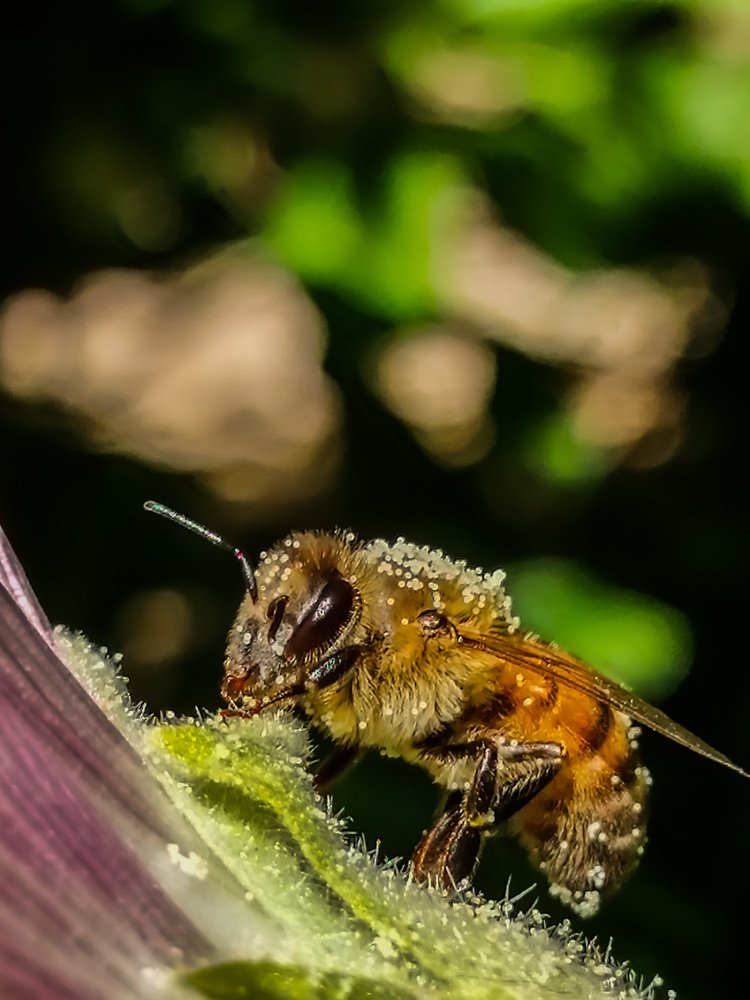 Photograph by Mozhgan Sadeghi