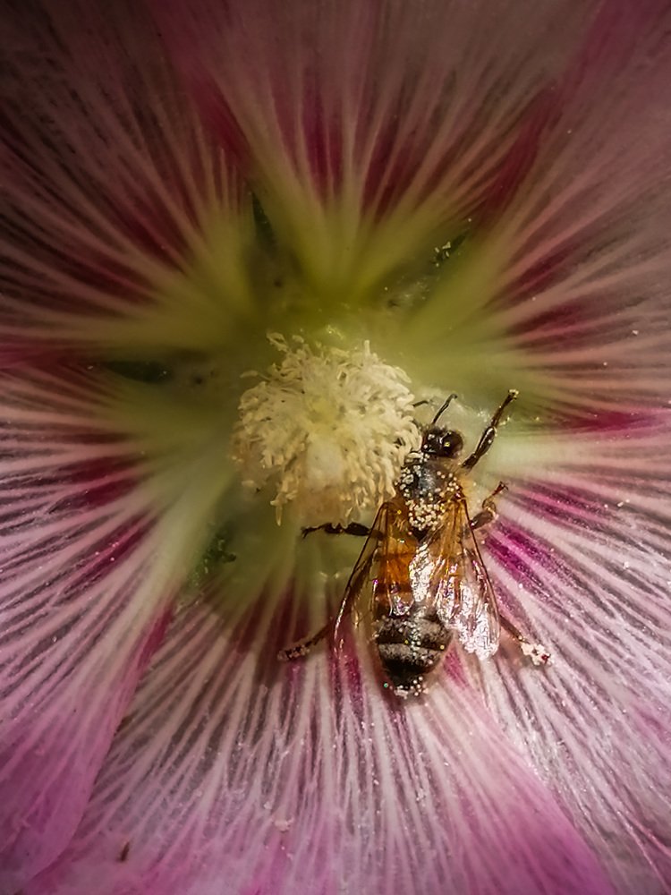 Photograph by Mozhgan Sadeghi