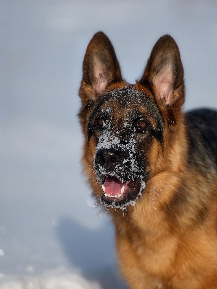 Photograph by Людмила Ефремова