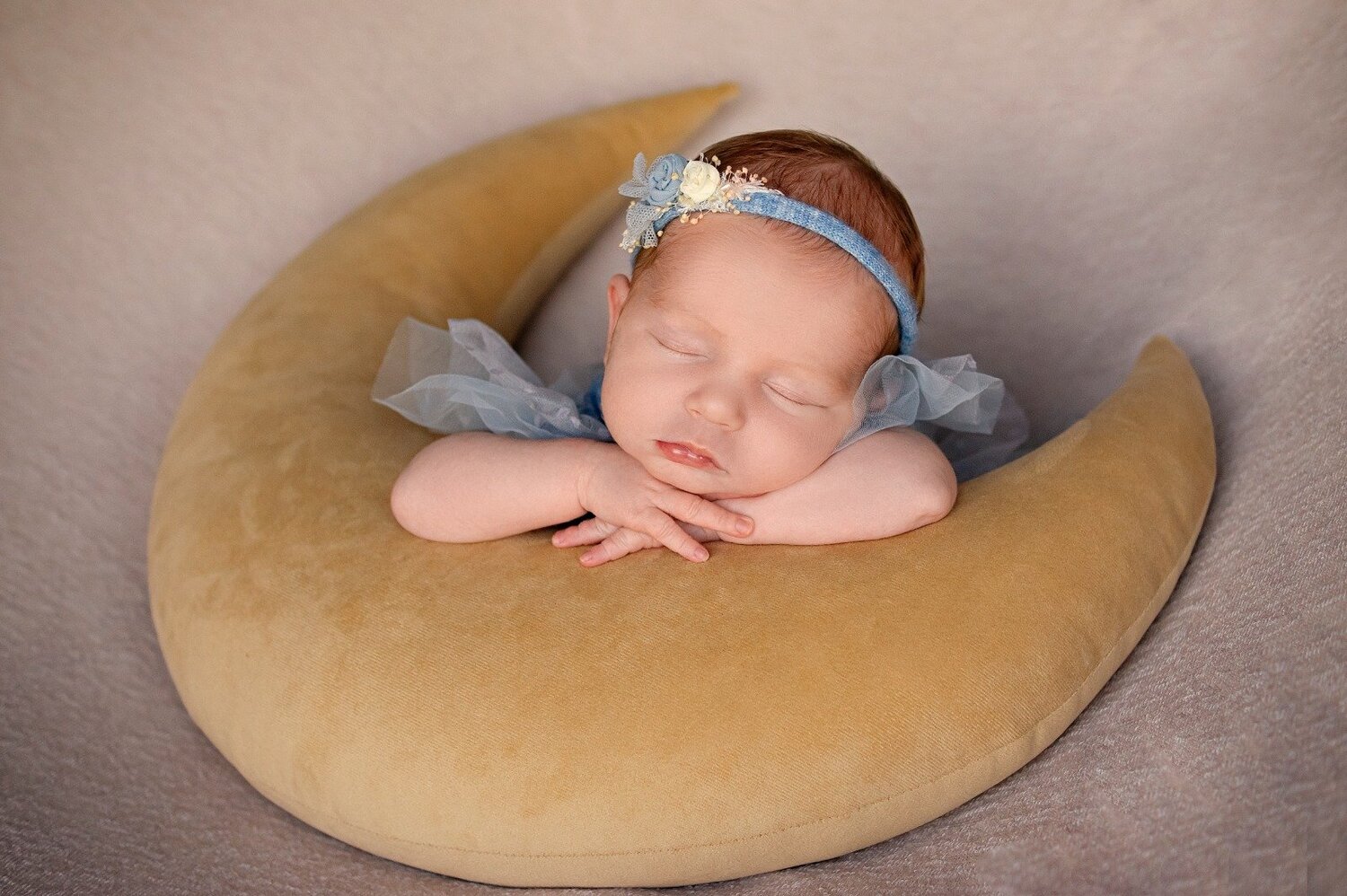 Photo #5227655