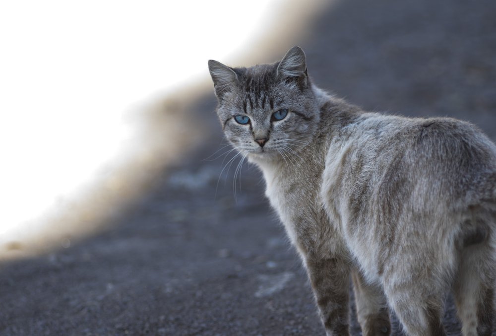 Photograph by Михаил Доргов