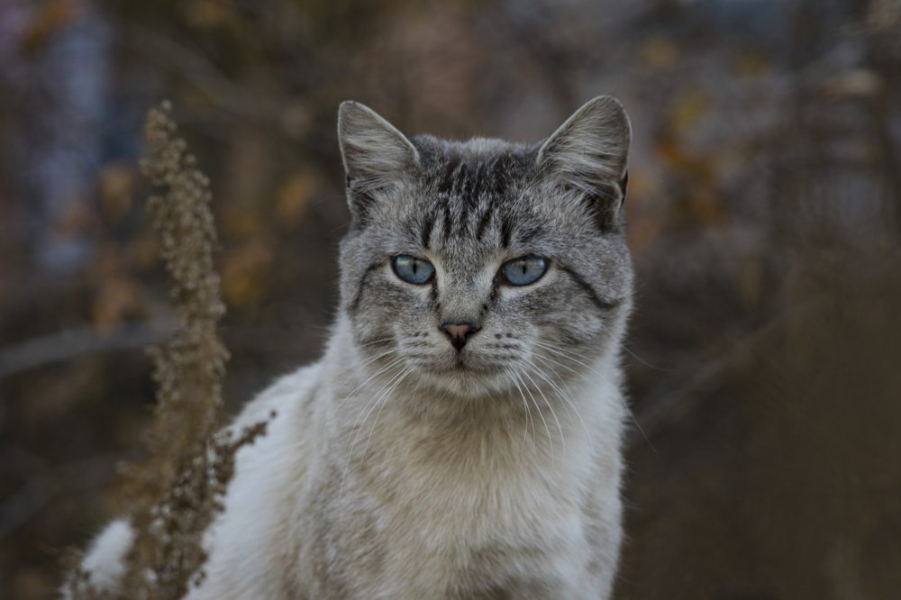 Photograph by Михаил Доргов