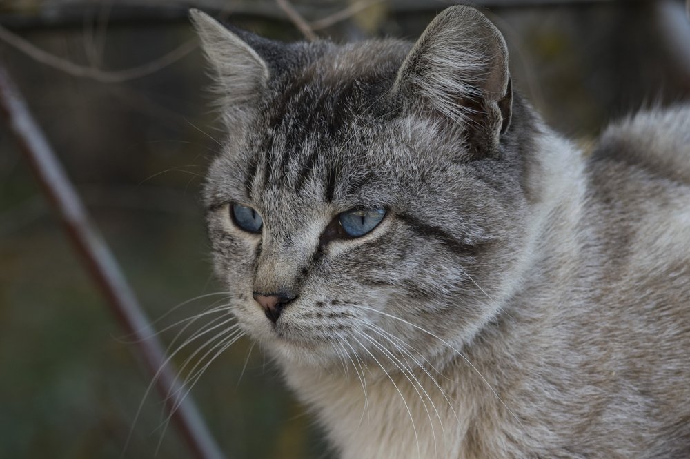 Photograph by Михаил Доргов