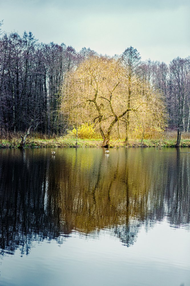 Photograph by Виктор Купреенко