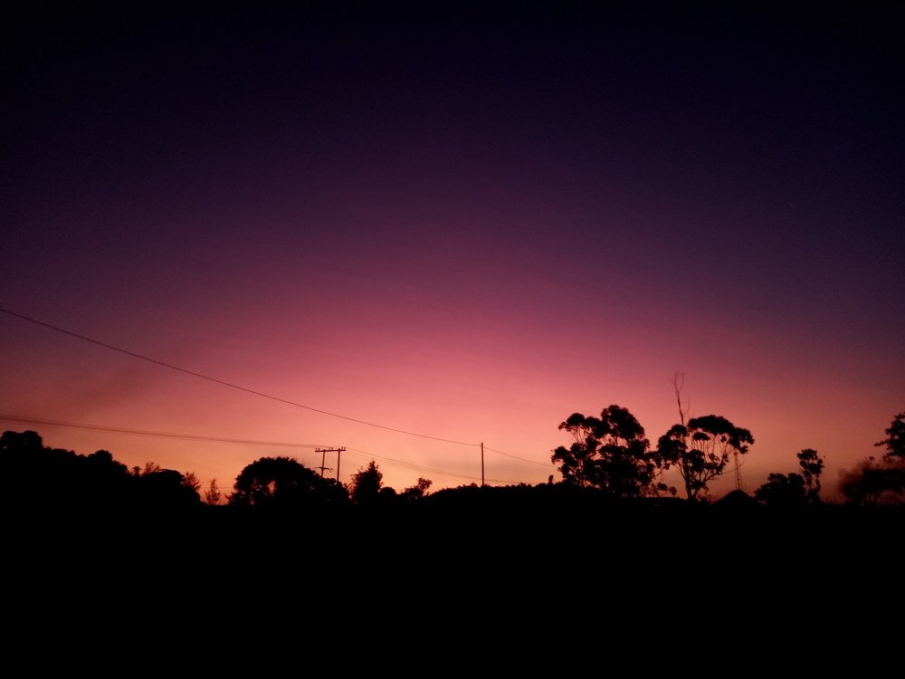 Photo #5227762