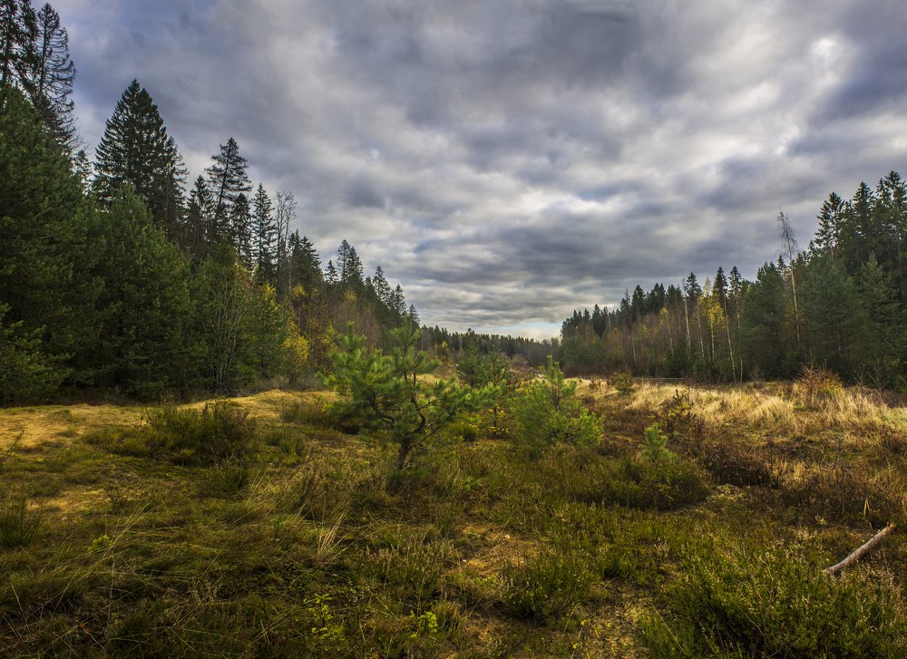 Photograph by Вячеслав Булатов