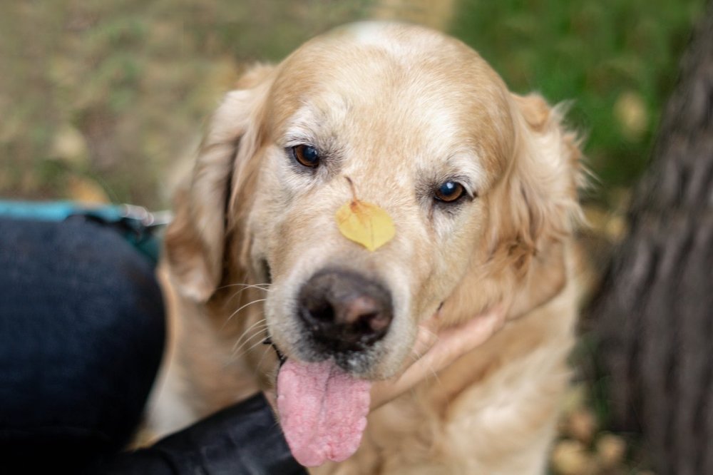 Photograph by Диана Кошелева