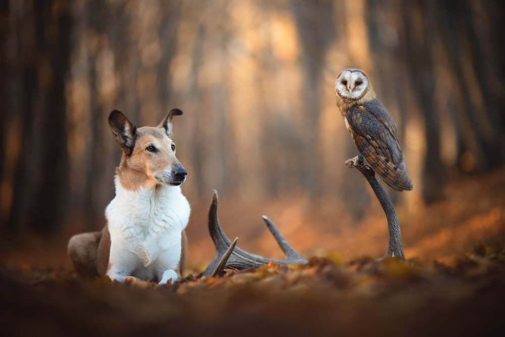 Photograph by Nicol Urbanová