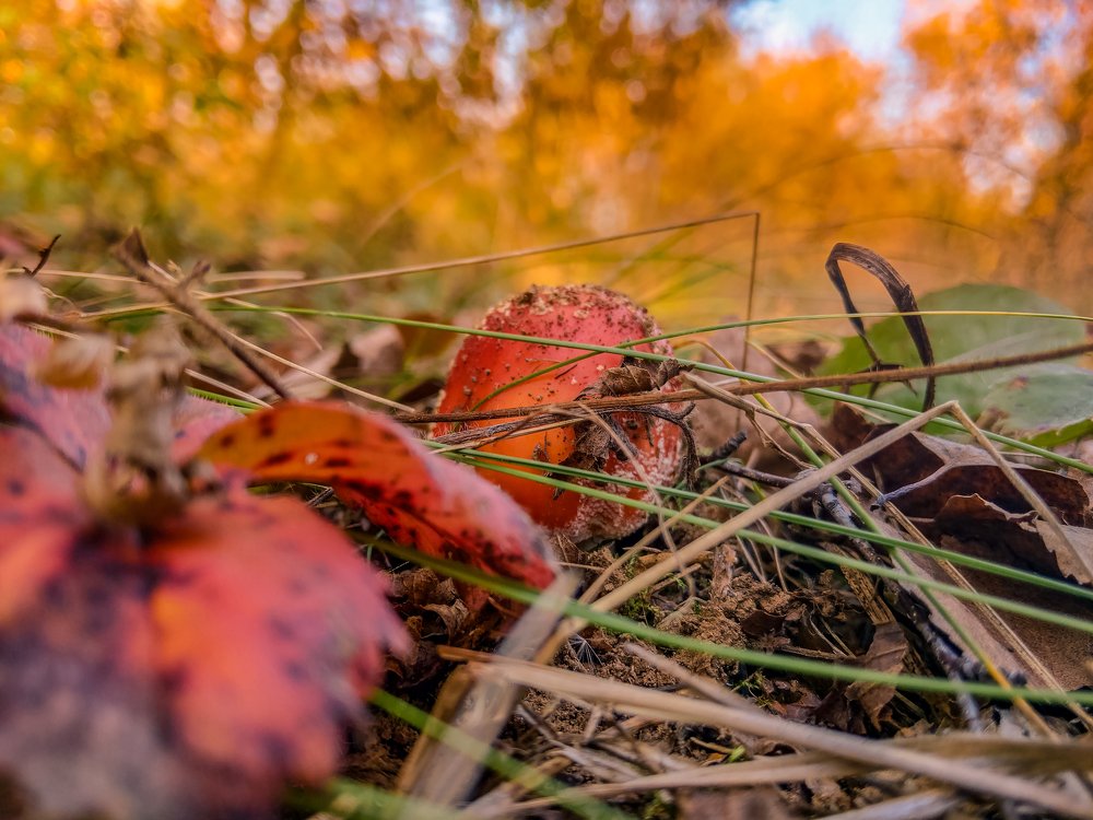 Photograph by Павел Сазанов