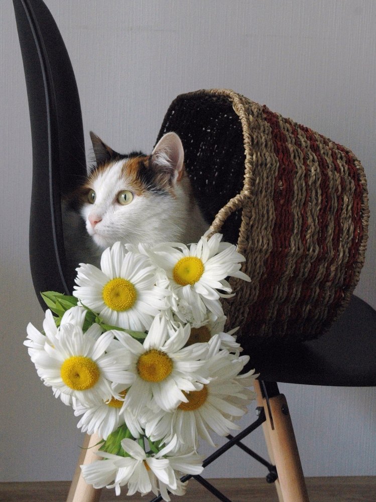 Photograph by Elena Starodvorskaya