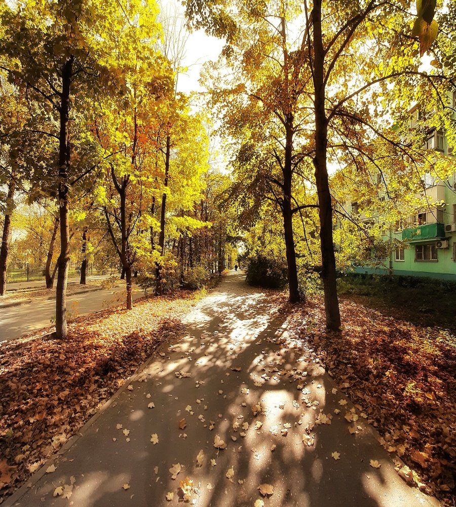 Photograph by Александр Лопатин