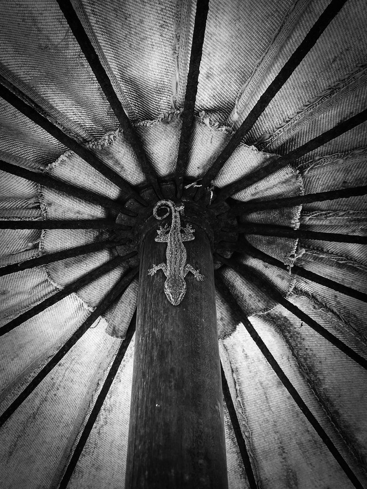 Photograph by Даркина Дарья