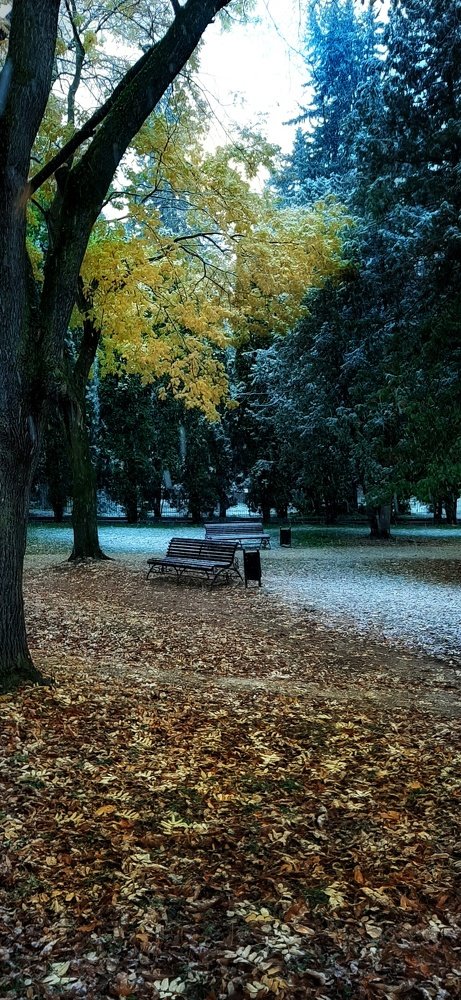 Photograph by Александр Лопатин