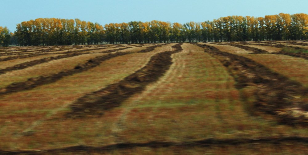 Photograph by Ирина Ивачева