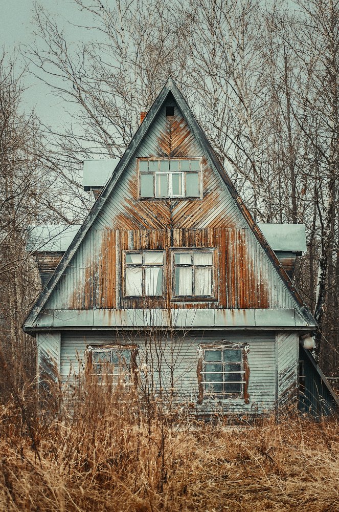 Photograph by Ксения Лысенкова