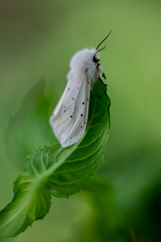 Photograph by Iuliana Luca