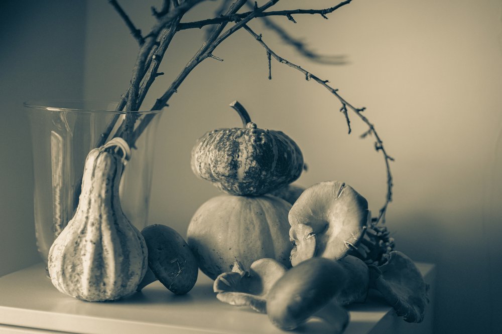 Photograph by Viktoria Todorova Angelova