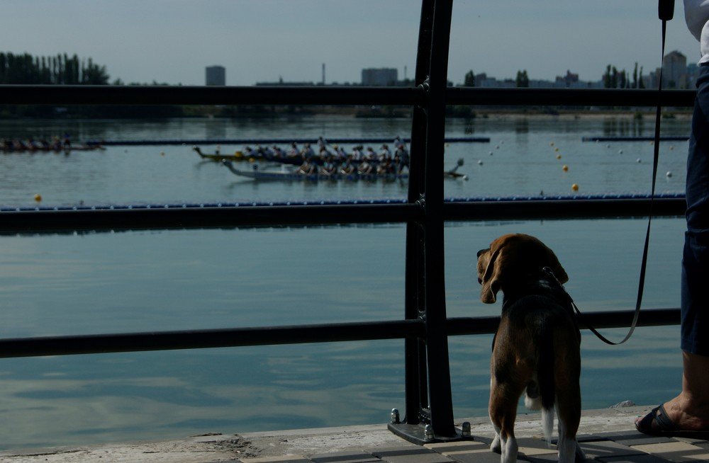 Photograph by Андрей Хитрун