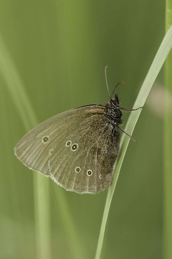 Photograph by Шаргородская Марина