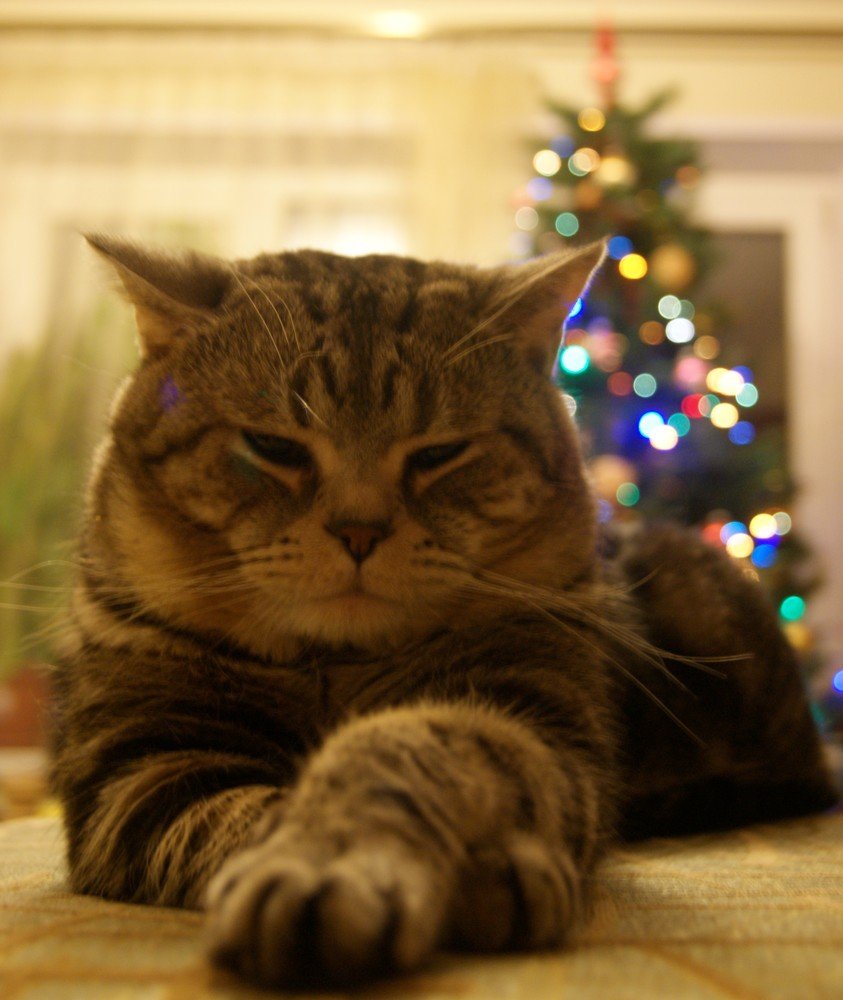 Photograph by Андрей Хитрун