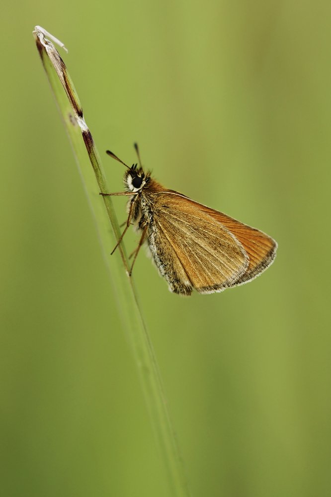 Photograph by Шаргородская Марина