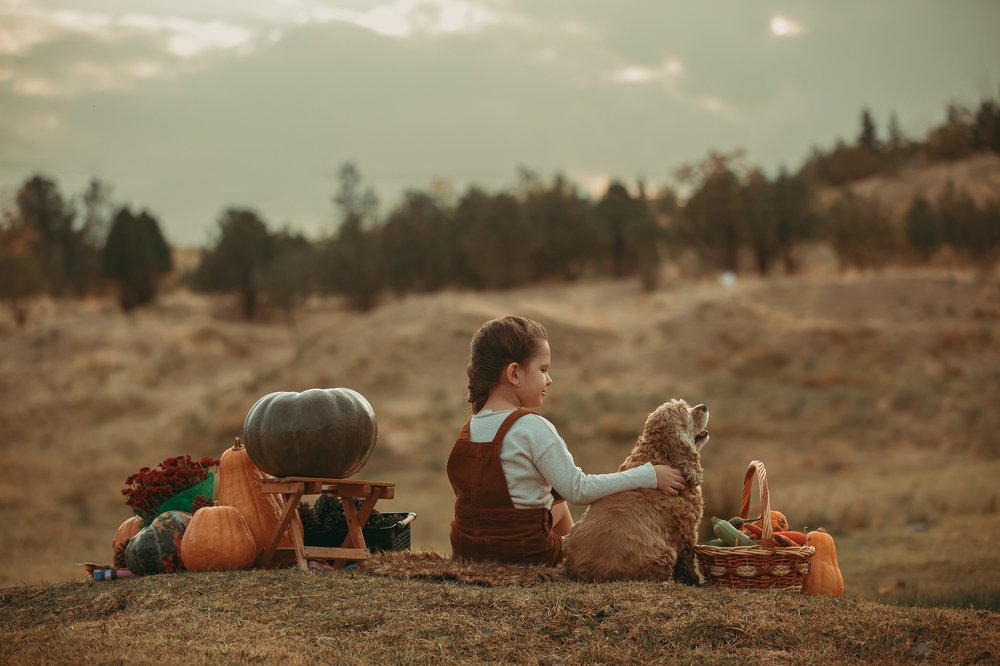 Photograph by Mekan Abdyllaýew