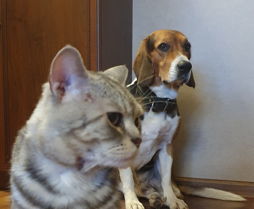 Photograph by Андрей Хитрун