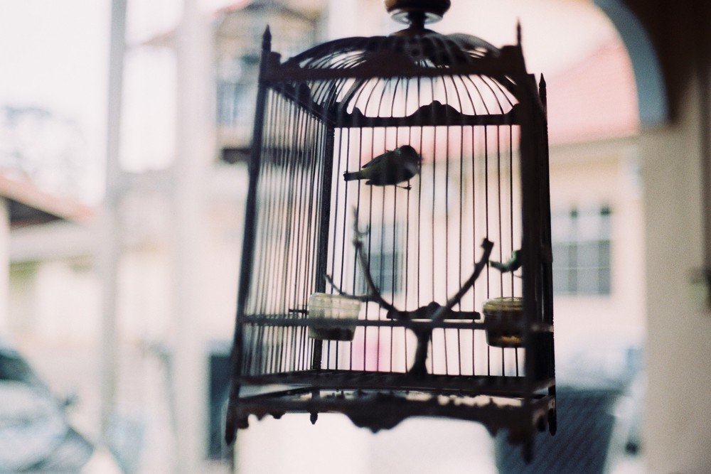 Photograph by ZAIDI MUSA