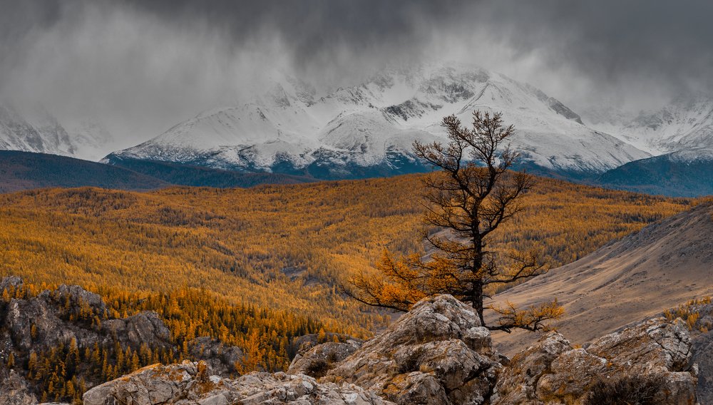 Photograph by Андрей Хаймин