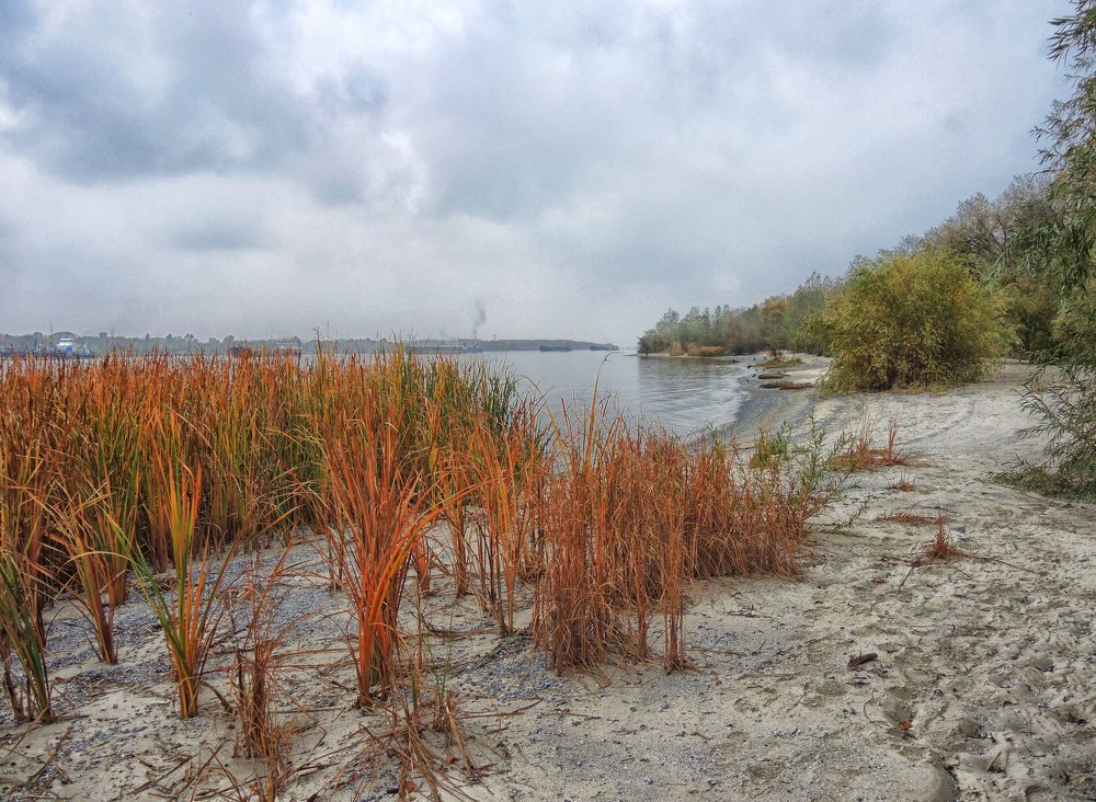 Photograph by София Гавриловна Вотякова