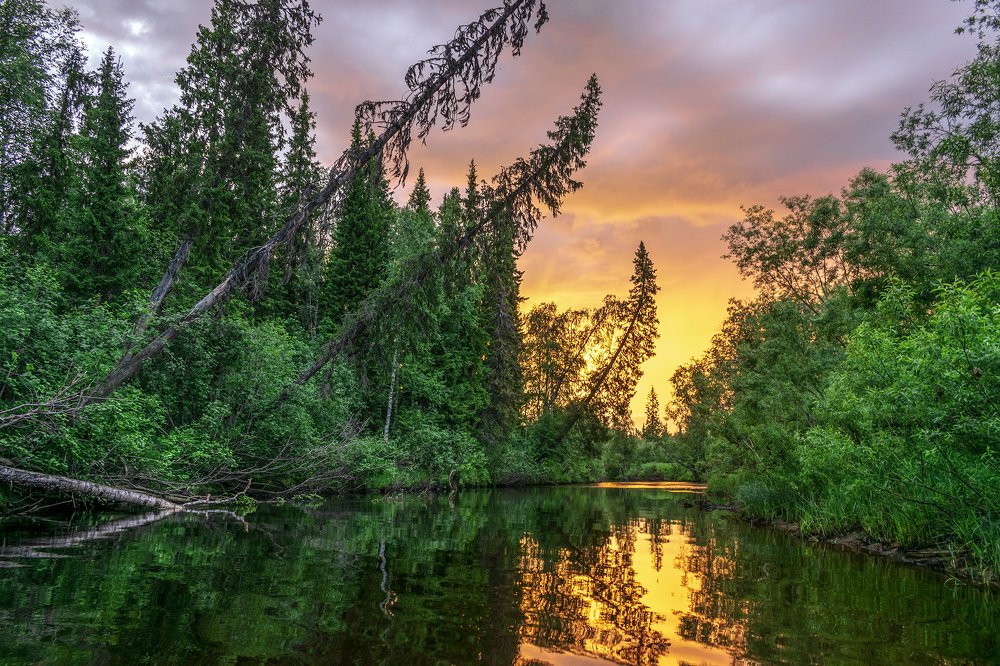 Photograph by Александр Пономарёв