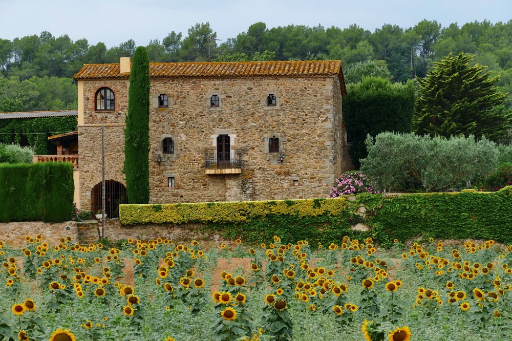 Photograph by Константин Лагоденко