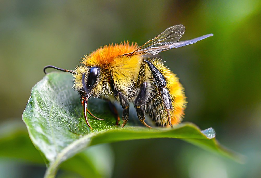 Photograph by Jordi Roig