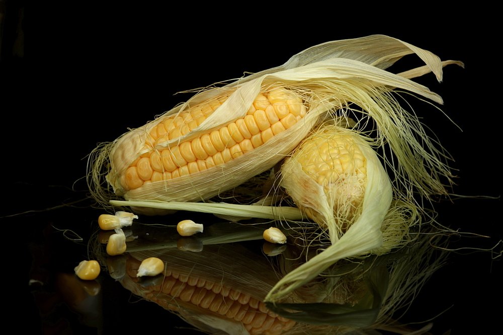 Photograph by Шруб (Беляева) Татьяна