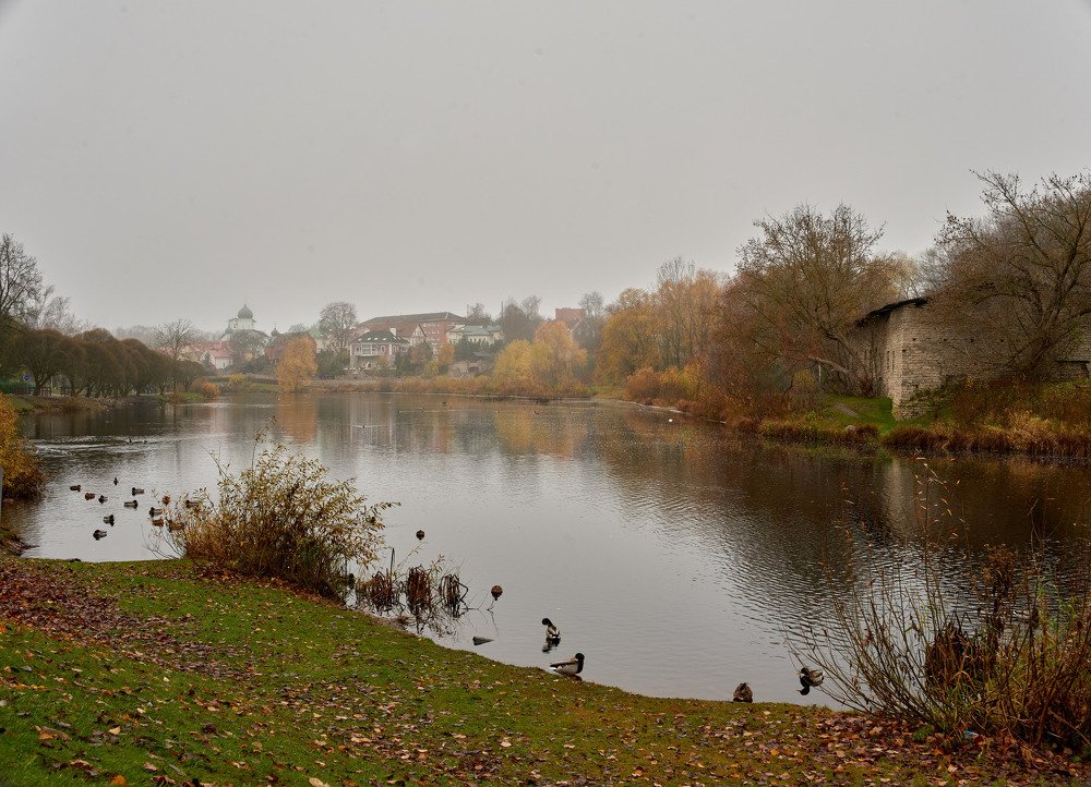 Photograph by Светлана Михайлова