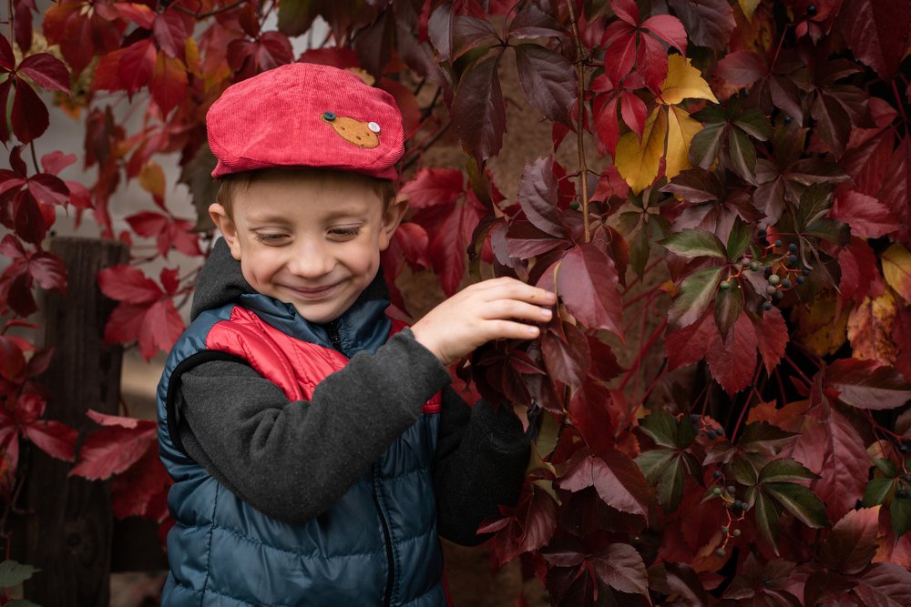 Photograph by Татьяна Давидчик