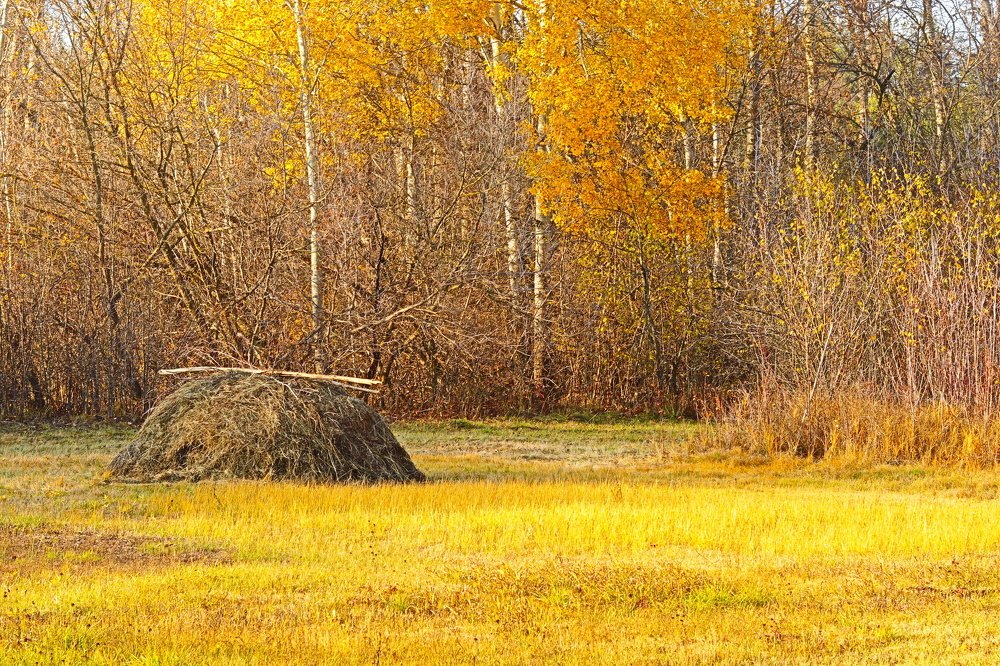 Photograph by Родосская Нонна