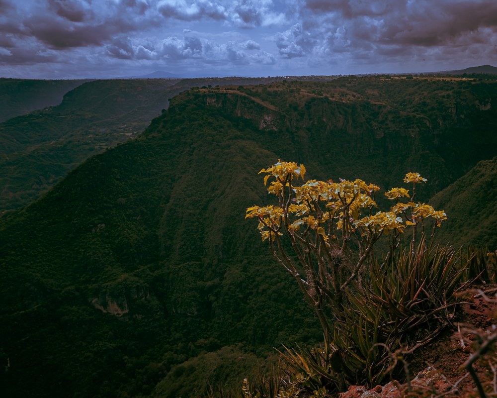 Donde todos los horizontes coinciden